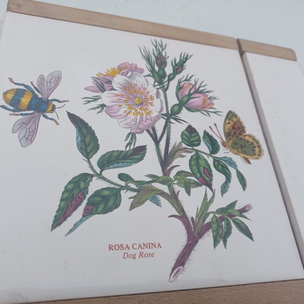 Rosa canina dog rose cheese grater